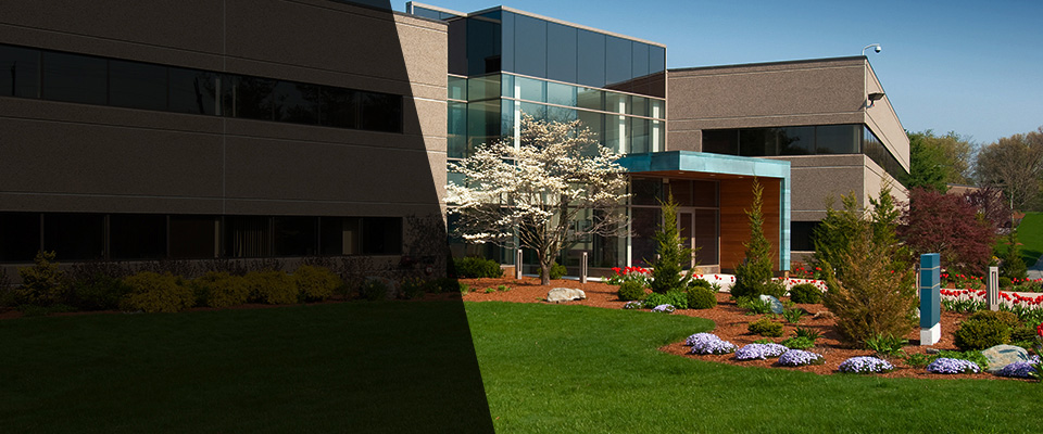 Lake Mary Landscapers