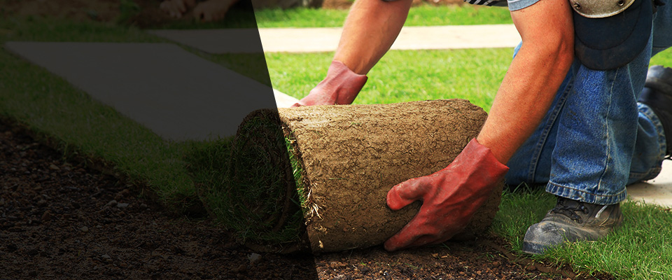 Lake Mary Landscapers